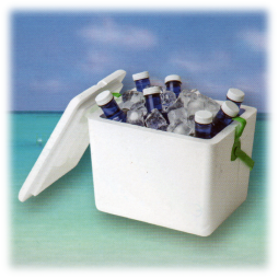 Nevera Polarbox P 13 litros