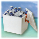 Nevera Polarbox P 21 litros